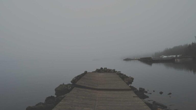 How To Become An 11Xplay Vip Member?